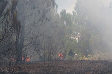 Cháy lớn trên núi Ngự Bình