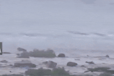 Động đất 8,8 độ ngoài khơi Nga, Nhật Bản lệnh sơ tán nhà máy Fukushima