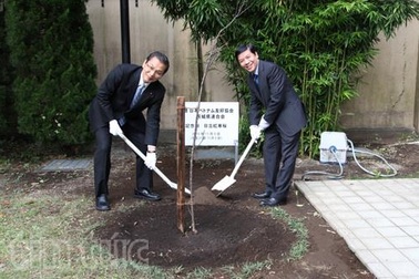 Lễ trồng cây hoa anh đào tại sứ quán Việt Nam ở Nhật Bản