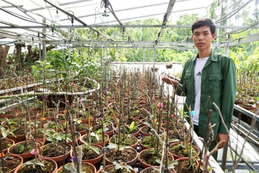 Ngỡ ngàng với vườn lan rừng khủng của chàng trai 9x xứ Quảng