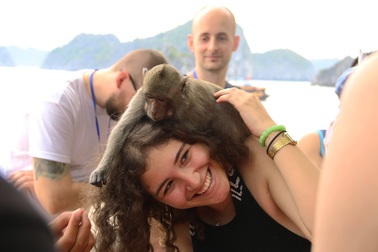 Du khách thích thú vui đùa với khỉ trên đảo Cát Dứa