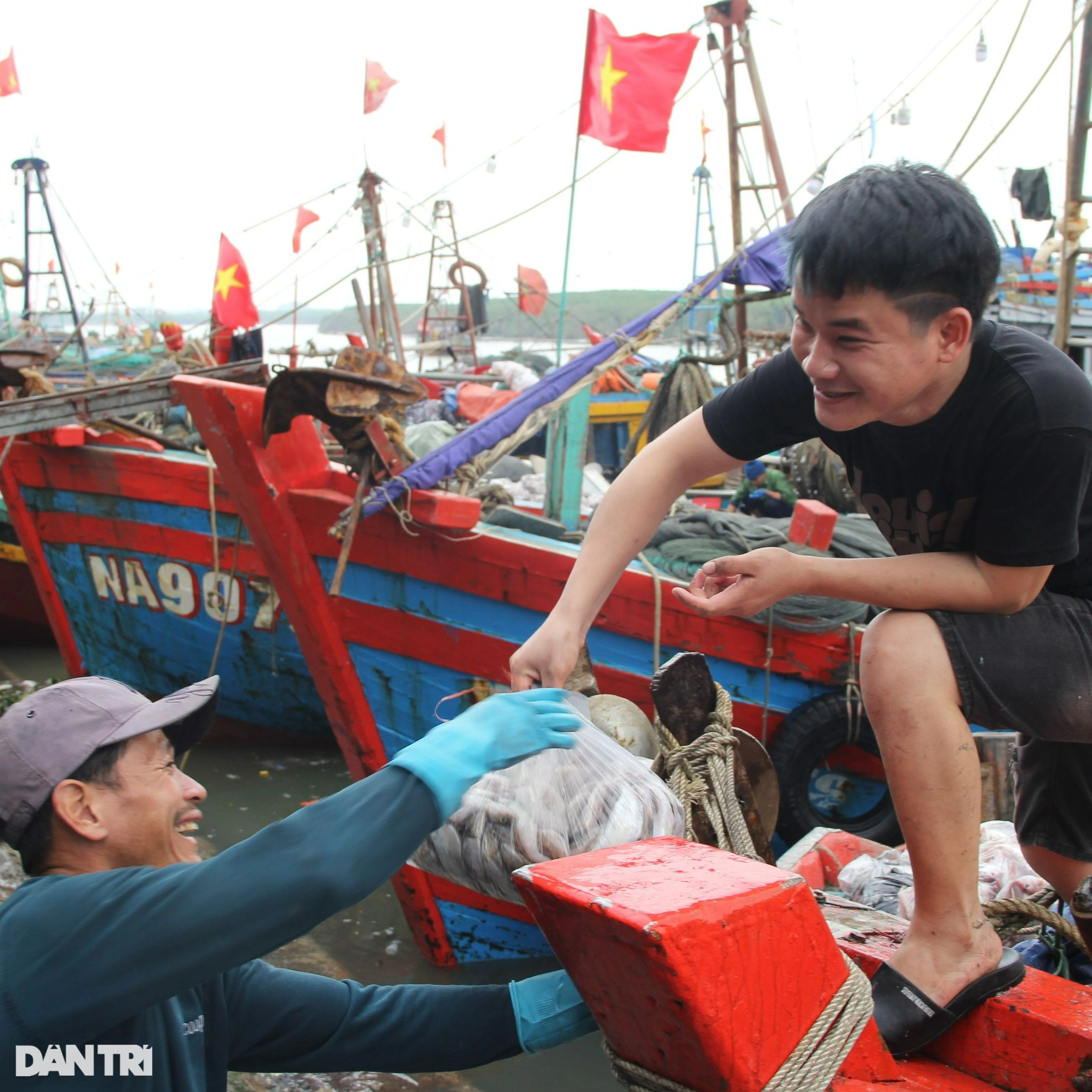 Ngư dân hốt bạc từ những chuyến đi biển cuối năm - 5 Ngư dân hốt bạc từ những chuyến đi biển cuối năm - 5