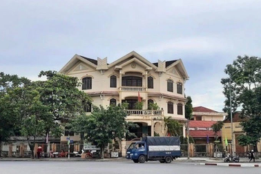 Chi cục trưởng kiểm lâm Quảng Trị bị cách chức