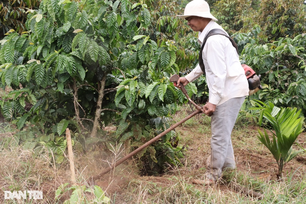 Phó Chủ tịch huyện làm giàu từ nông nghiệp, nặng lòng với văn hóa Êđê - 3