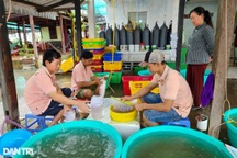 Bí quyết đếm 2.000 con cua, tôm "nhanh như điện" của người Cà Mau