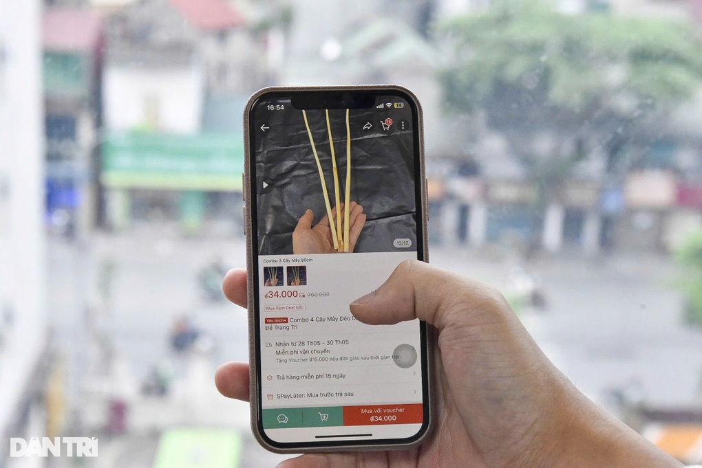 Rattan canes are sold out on the online market, the community is arguing fiercely - 2 Roi mây cháy hàng trên chợ mạng, cộng đồng tranh cãi kịch liệt - 2