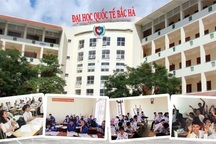 48 trường đại học, Sở giáo dục phải dừng cấp chứng chỉ ngoại ngữ và tin học