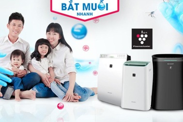 Ngăn ngừa sốt xuất huyết hiệu quả ngay tại nhà