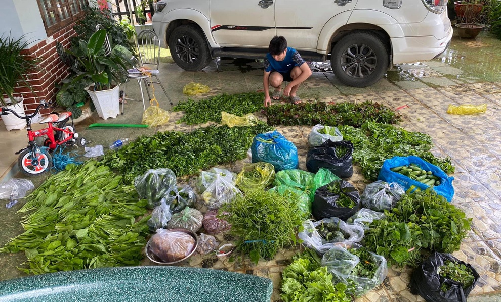 Vườn rau nghĩa tình giúp bà con TPHCM mùa dịch của mẹ đảm ở Lâm Đồng - 7 Vườn rau nghĩa tình giúp bà con TPHCM mùa dịch của mẹ đảm ở Lâm Đồng - 7