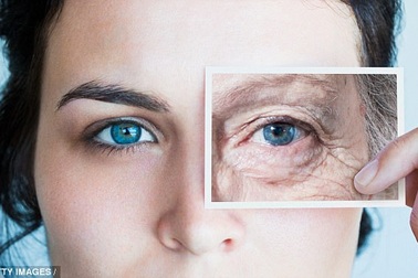 Đột phá: Phát hiện hợp chất “cải lão hoàn đồng”