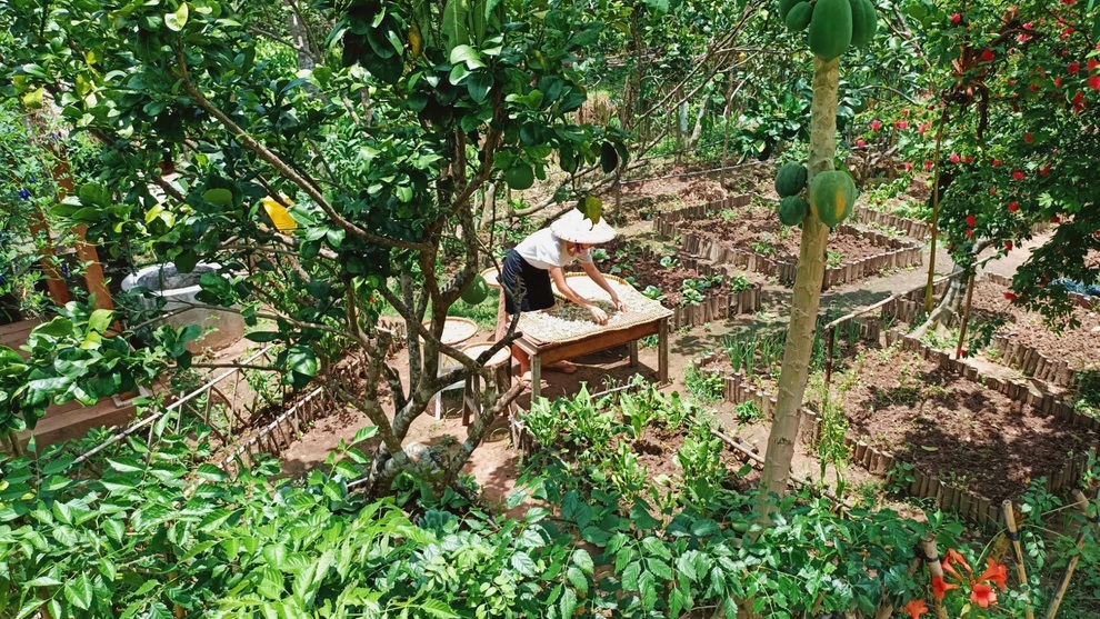 Bỏ phố về quê, cặp vợ chồng Bến Tre làm khu vườn 500m2 tràn ngập rau trái - 2 Bỏ phố về quê, cặp vợ chồng Bến Tre làm khu vườn 500m2 tràn ngập rau trái - 2