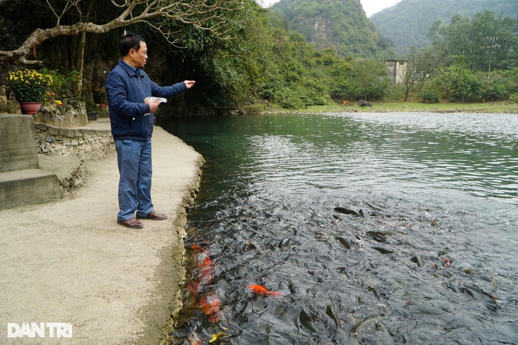 Dòng nước ngầm từ núi đá và đàn cá thần hàng nghìn con ở Thanh Hóa - 4 Dòng nước ngầm từ núi đá và đàn cá thần hàng nghìn con ở Thanh Hóa - 4