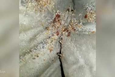 Sự thật về những chiếc ghế sofa bóng bẩy bên trong phòng khách sạn