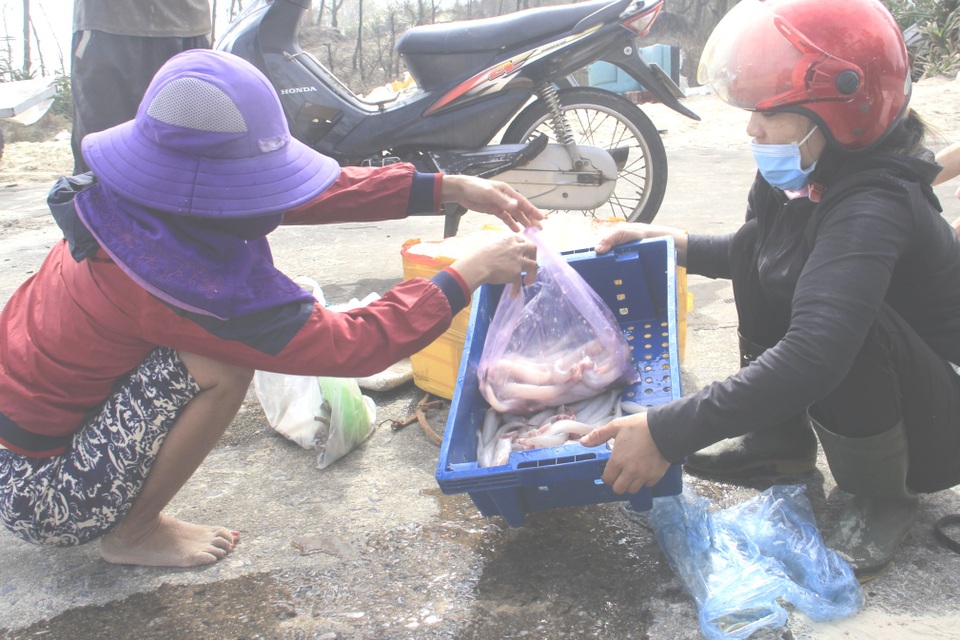 Giáp Tết Nguyên đán, ngư dân vùng bãi ngang vươn khơi chuyến cuối năm - 5 Giáp Tết Nguyên đán, ngư dân vùng bãi ngang vươn khơi chuyến cuối năm - 5
