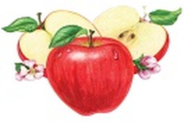 Viên giảm cân tinh chế từ táo tươi