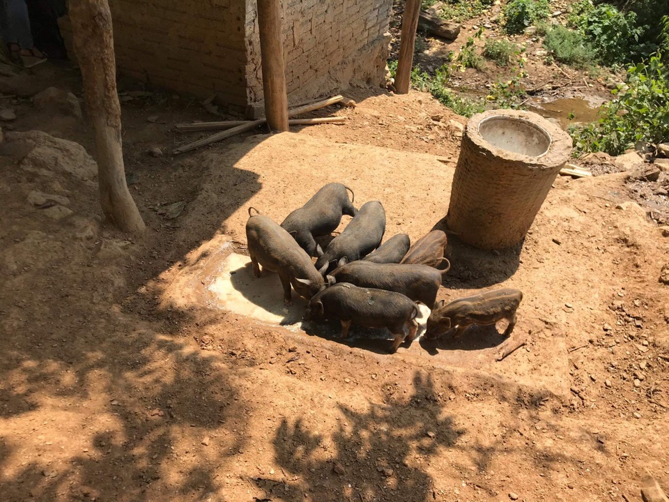 Tiểu đội dân quân thường trực nơi biên giới giúp dân phát triển kinh tế - 3 Tiểu đội dân quân thường trực nơi biên giới giúp dân phát triển kinh tế - 3