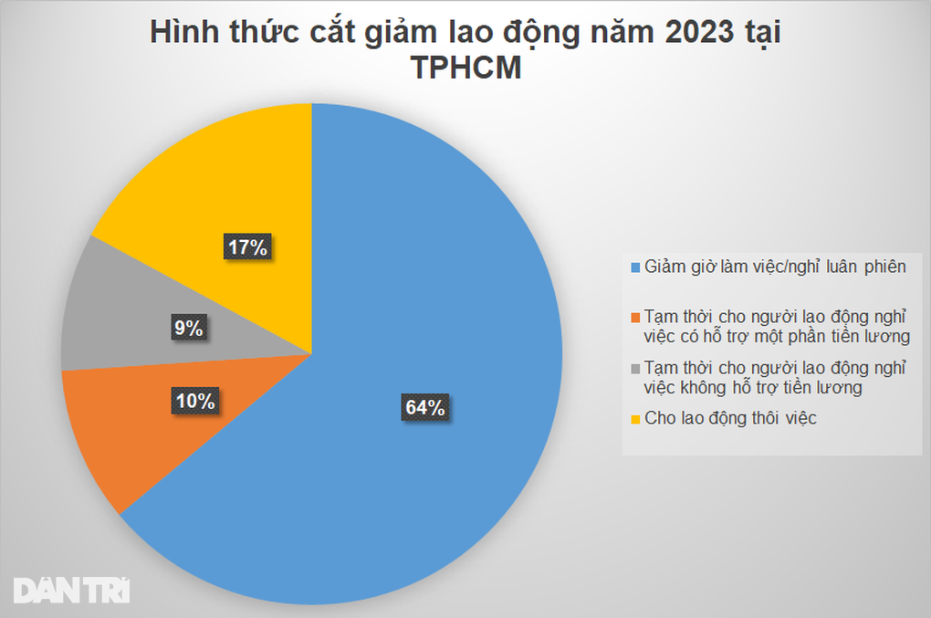 Hơn 13% doanh nghiệp ở TPHCM cắt giảm lao động - 2