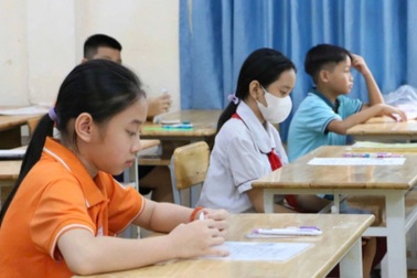 Vì sao 2 trường điểm ở TPHCM dừng khảo sát đầu vào lớp 6?