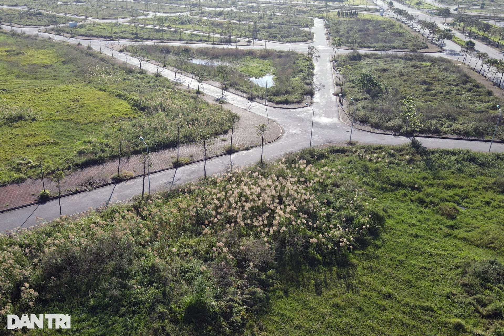 Khu đô thị gần 200ha ở Nam Định phần lớn bỏ hoang, thành nơi nuôi gia súc - 5 Khu đô thị gần 200ha ở Nam Định phần lớn bỏ hoang, thành nơi nuôi gia súc - 5