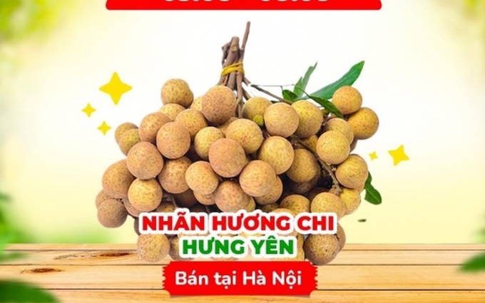 Nhãn lồng Hưng Yên từng bước lên sàn thương mại điện tử trong mùa dịch