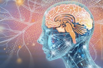 Bộ não của bạn đạt đỉnh cao ở độ tuổi nào?