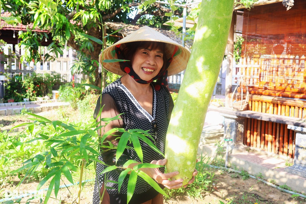 Khu vườn rau nghĩa tình với giá 0 đồng của phụ nữ Hội An - 2 Khu vườn rau nghĩa tình với giá 0 đồng của phụ nữ Hội An - 2