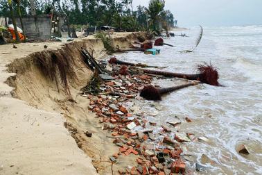 Đầu tư 210 tỷ đồng xây kè chống xói lở khẩn cấp bờ biển ở Hội An