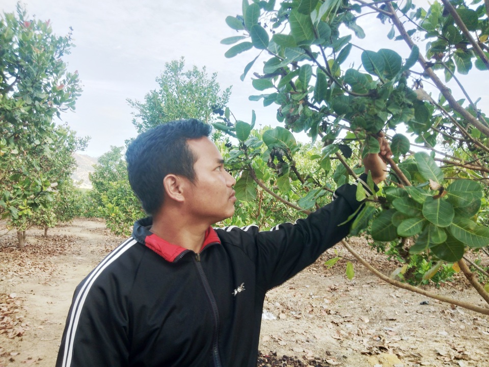 Kon Tum: Chàng “tù trưởng” 28 tuổi làm kinh tế giỏi, thu 300 triệu đồng/năm - 1 Kon Tum: Chàng “tù trưởng” 28 tuổi làm kinh tế giỏi, thu 300 triệu đồng/năm - 1