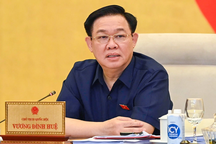 "Nghiêm cấm vừa chạy quy hoạch vừa điều chỉnh mục đích sử dụng đất"