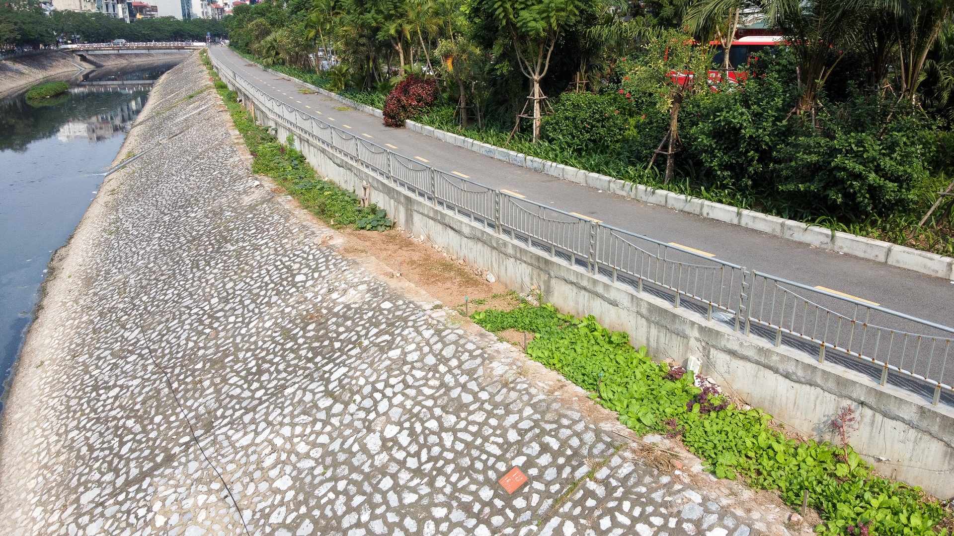 Vườn rau xanh mượt bỗng xuất hiện bên con đường đi bộ dài nhất Thủ đô - 14 Vườn rau xanh mượt bỗng xuất hiện bên con đường đi bộ dài nhất Thủ đô - 14
