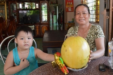 Trái dưa hấu trưng 7 tháng vẫn còn tươi nguyên