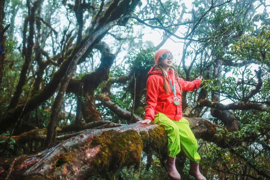 Ngủ đêm trong rừng, dậy từ 3h để "săn" bình minh ở độ cao gần 3.000m