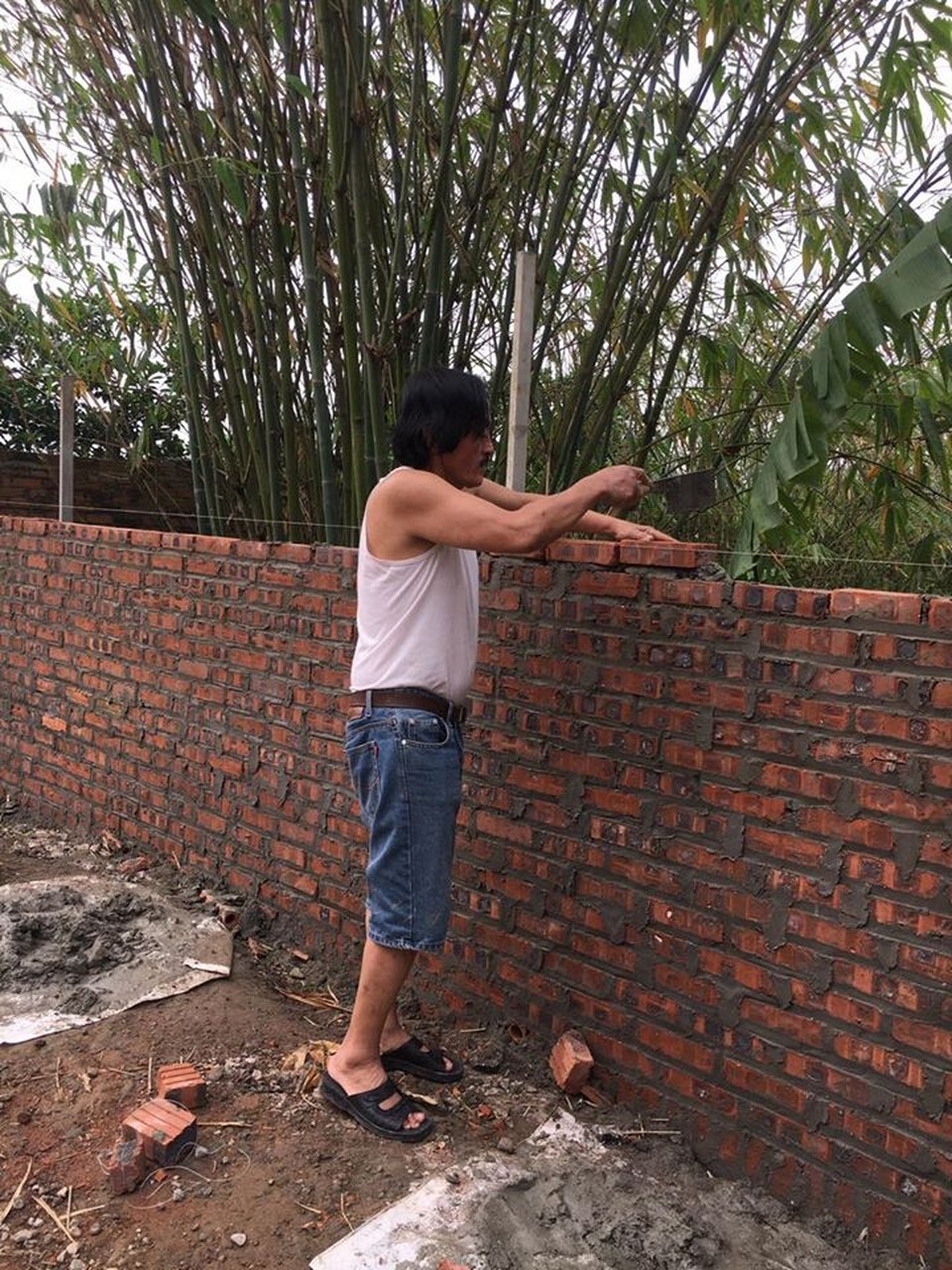 Nghệ sĩ Giang Còi: Thất nghiệp, ở nhà làm thợ xây, chăm gà lợn... - 1 Nghệ sĩ Giang Còi: Thất nghiệp, ở nhà làm thợ xây, chăm gà lợn... - 1