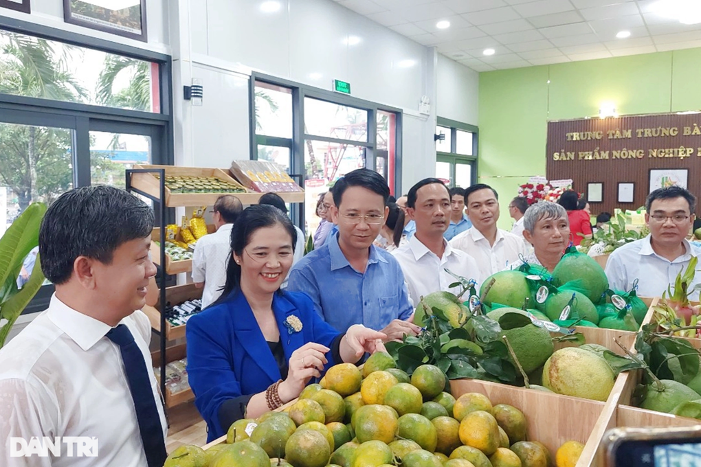 Thủ phủ cây ăn quả Hoài Ân khẳng định thương hiệu - 5 Thủ phủ cây ăn quả Hoài Ân khẳng định thương hiệu - 5
