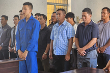 Xét xử vụ án hủy hoại trên 400ha rừng ở Đắk Lắk