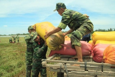 Vỡ đê đầu mùa lũ, trên 200ha lúa bị nước lũ tấn công