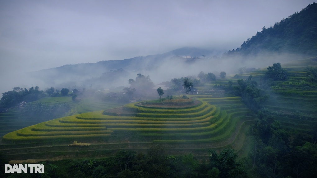 Mùa lúa chín Hoàng Su Phì - đã đi là không muốn về! - 1 Mùa lúa chín Hoàng Su Phì - đã đi là không muốn về! - 1