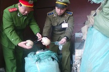 Căng mình đối mặt nạn pháo lậu bùng phát dịp cuối năm