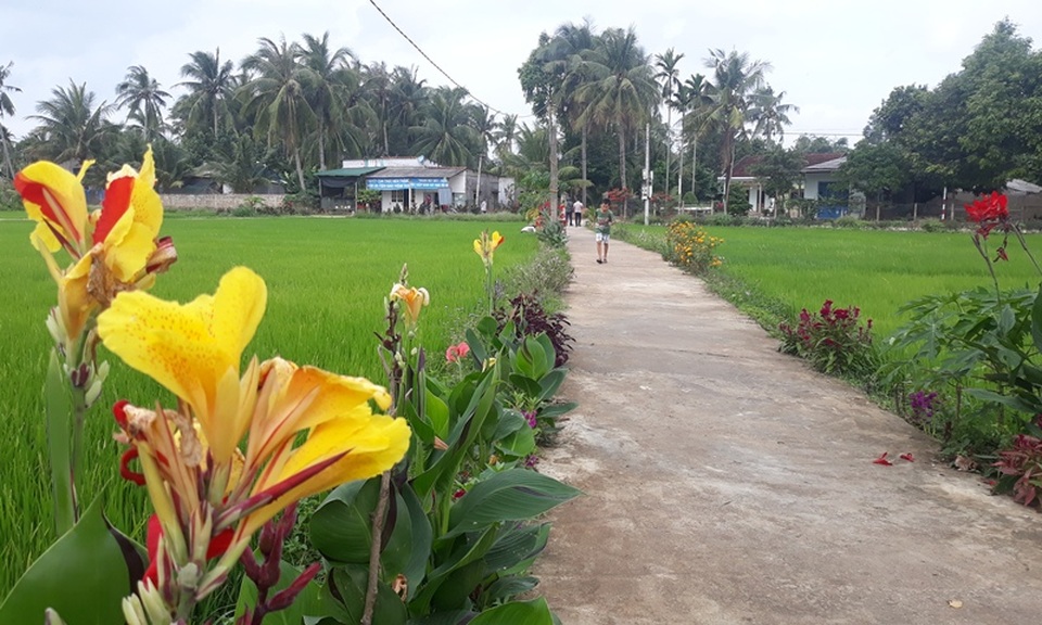 Cả làng “xin” hoa về trồng, đường quê Bình Định đẹp như tranh họa - 8 Cả làng “xin” hoa về trồng, đường quê Bình Định đẹp như tranh họa - 8
