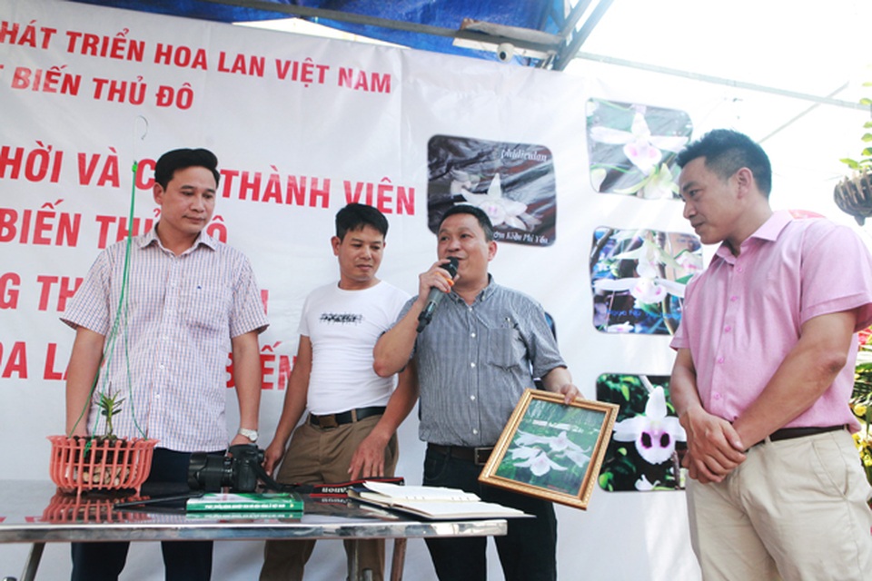 Choáng những giỏ hoa lan đột biến hiếm thấy ở Hà Nội, giá hàng trăm triệu - 1 Choáng những giỏ hoa lan đột biến hiếm thấy ở Hà Nội, giá hàng trăm triệu - 1