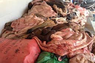  Sắp “được” ăn... nội tạng động vật ngoại!