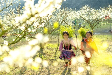 Kinh nghiệm đi phượt một mình, săn ảnh ở thung lũng hoa mận Mộc Châu