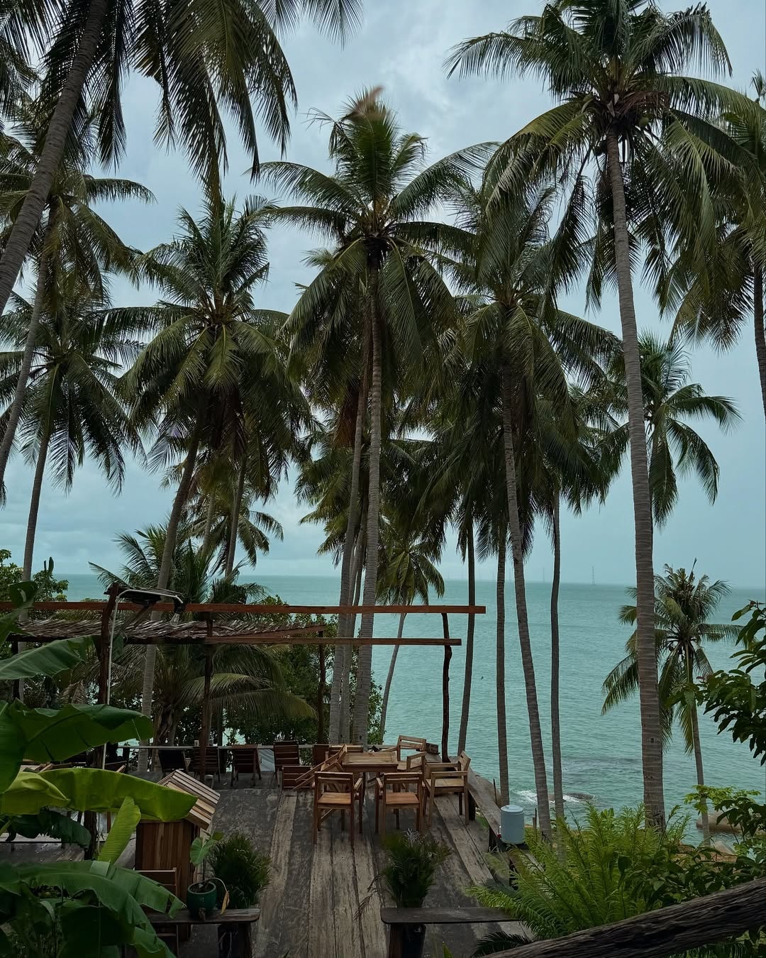 Video con đường ven đảo ở Việt Nam đẹp như Bali gây sốt mạng - 1