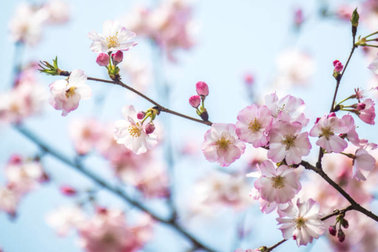 "Hết tết rồi, con lại phải đi thôi"