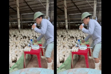 Anh nông dân bất ngờ nổi tiếng với màn "chơi DJ" trước đàn vịt ngàn con