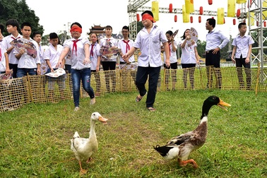 Trẻ nhỏ Hà Nội thích thú chơi bắt vịt, đập niêu tại Hoàng Thành Thăng Long