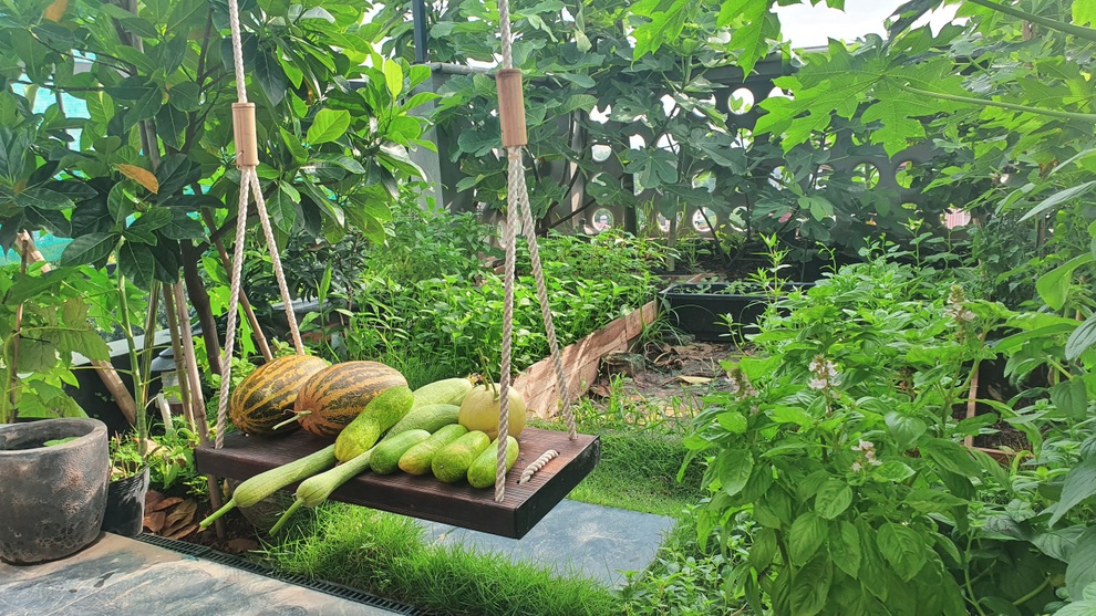 Hai vườn trĩu rau trái, ngát hương hoa hồng của gia đình Hà Nội - 2 Hai vườn trĩu rau trái, ngát hương hoa hồng của gia đình Hà Nội - 2