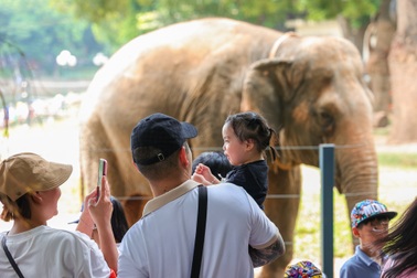 Bất chấp nắng nóng, người dân đổ về Công viên Thủ Lệ nghỉ lễ Quốc khánh