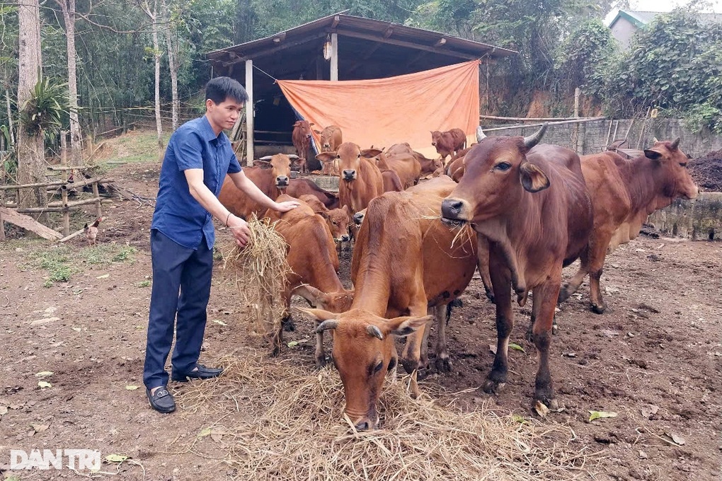 Bí thư đoàn xã thành triệu phú nhờ một yêu cầu hiểm - 1