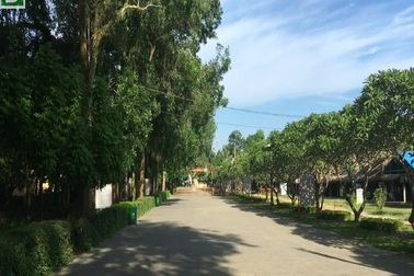 Lam Kinh kỳ vỹ của 600 năm trước đang dần được tái hiện